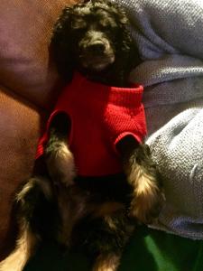 Does this sweater make me look fat?